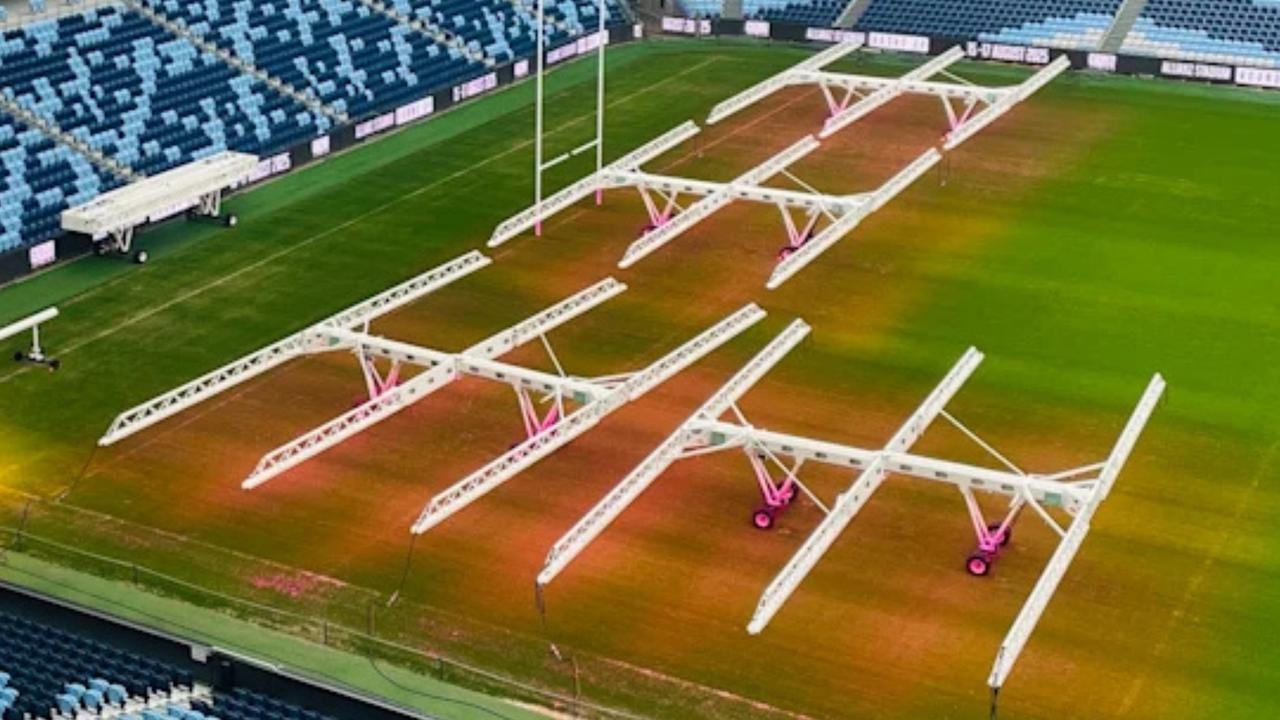 Revealed: Why Allianz Stadium's $6m turf needs urgent replacement