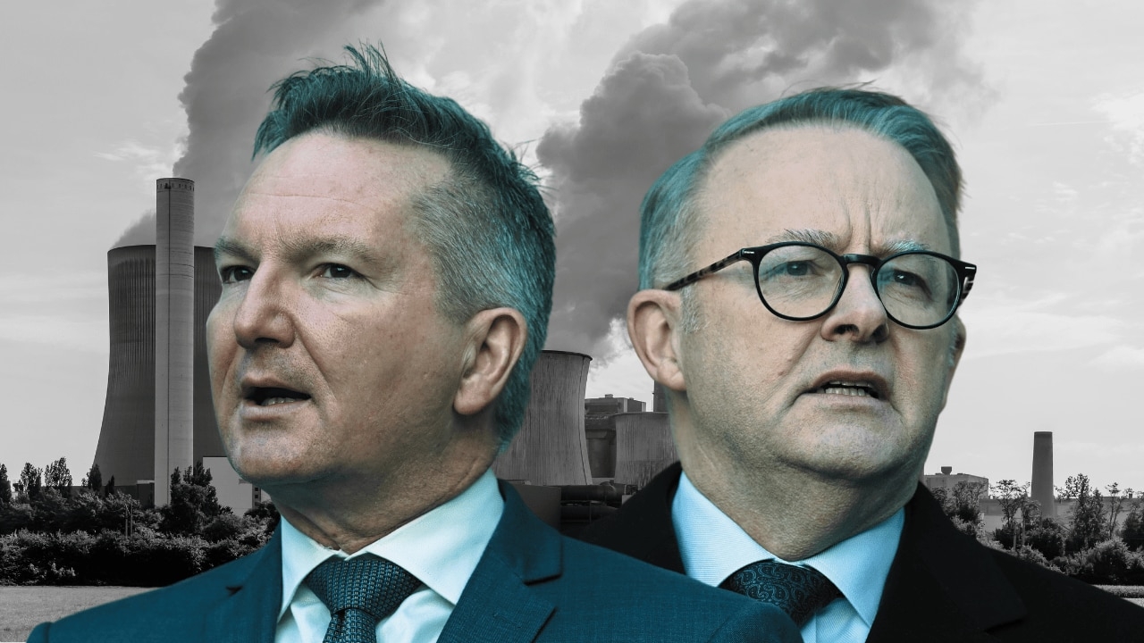 Labor's Environmental Action Network pushes for 70 per cent emissions cut by 2035 as left faction grows