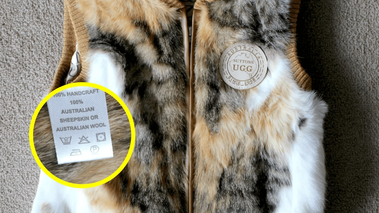 Horror as 'sheepskin' children's vest found to be made of cat and rabbit fur