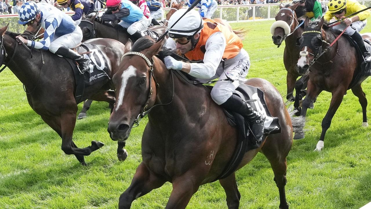 Seven-year-old galloper Talbragar having just his 15th start at Sandown on Saturday
