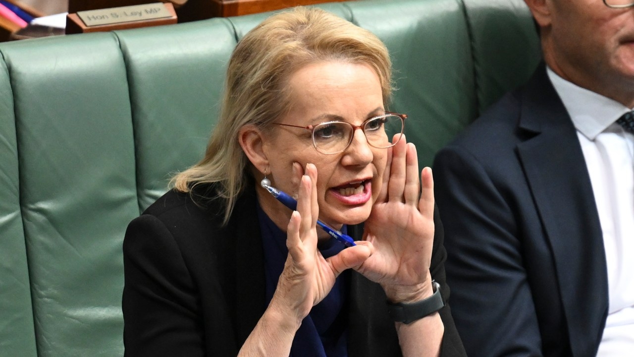 Sussan Ley should harness her inner Margaret Thatcher if she wants Aussie women back on side