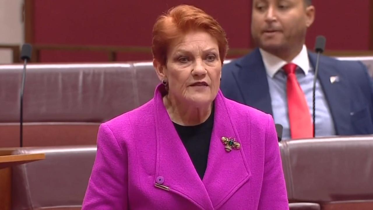 Pauline Hanson calls out ‘gutless' Coalition senators who voted against net zero ditch