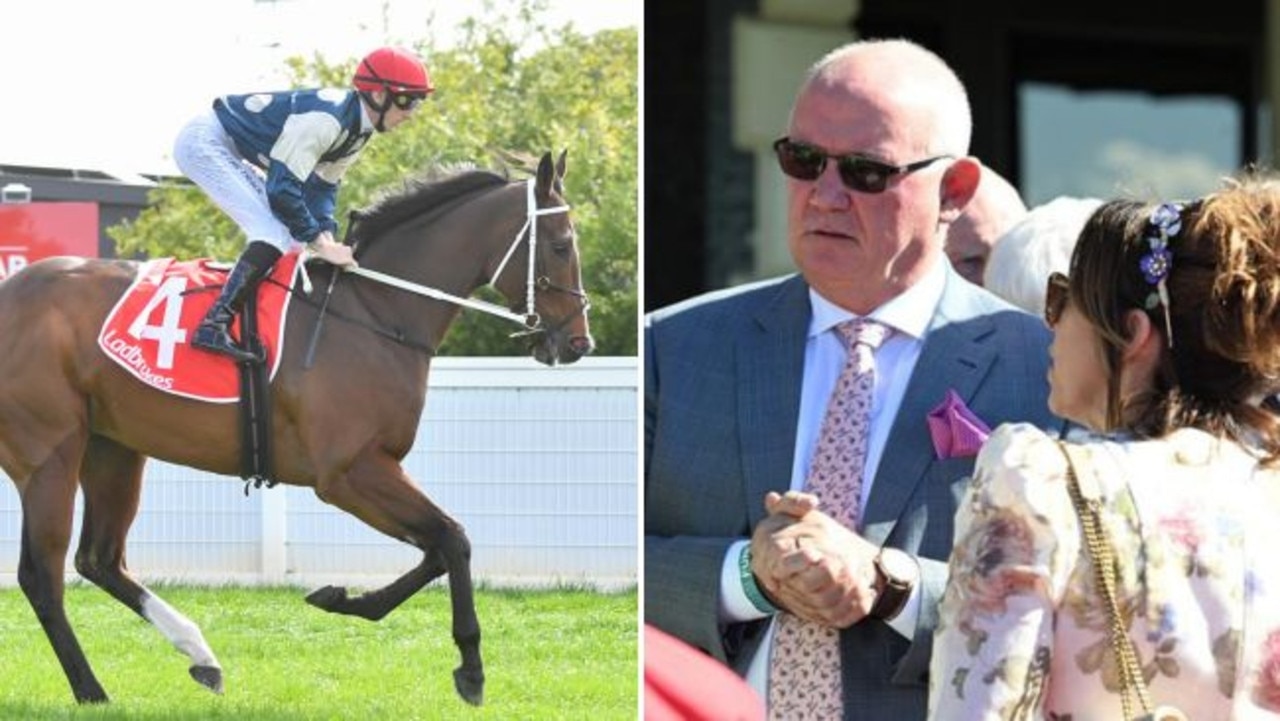 Fruit market king Noel Greenhalgh identifies Melbourne Cup contender and other spring hopefuls