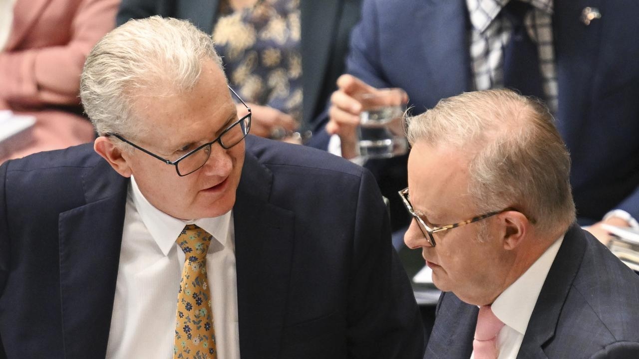Liberal MP ‘cautious' after Tony Burke's visa boast