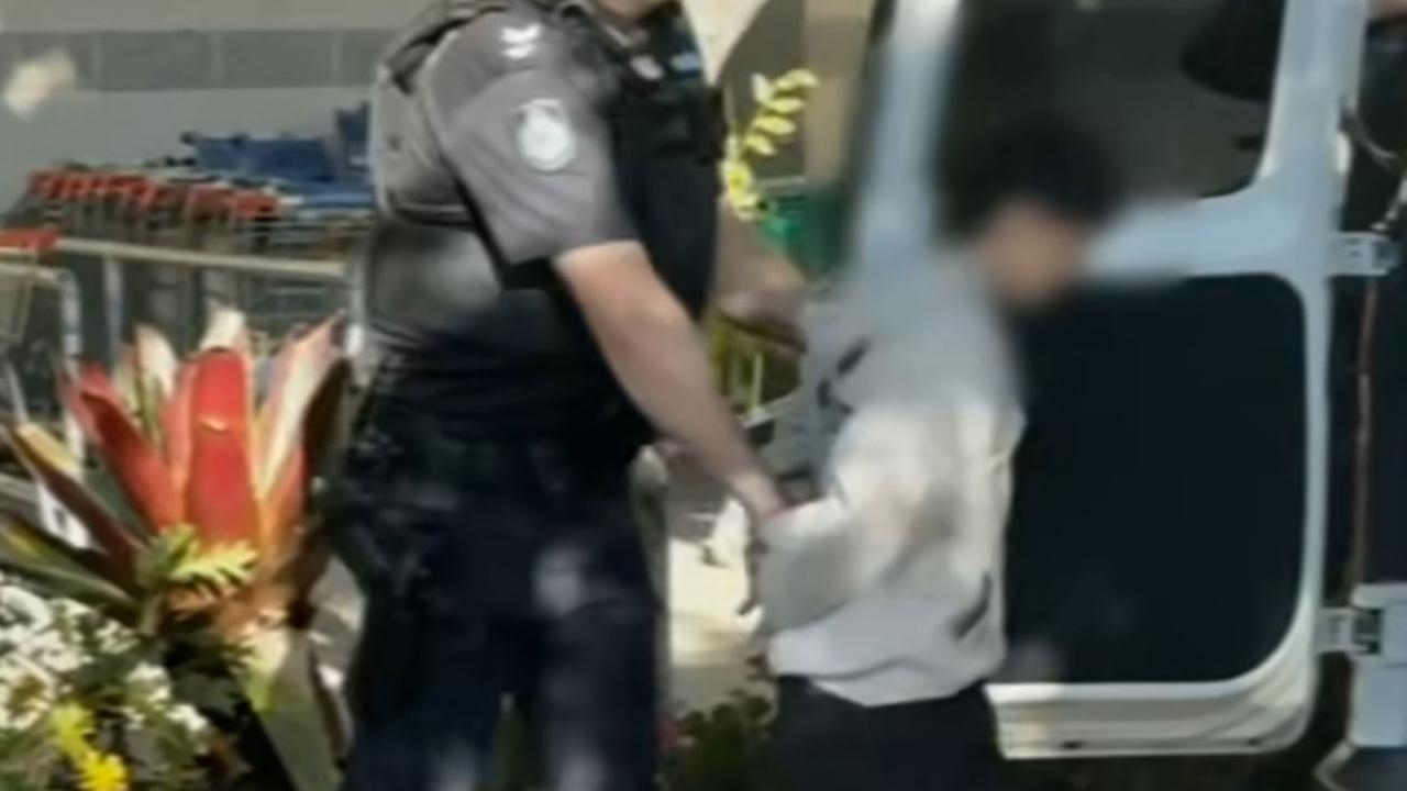 Teenagers arrested over alleged youth brawl after man in 60s assaulted at shopping centre: police
