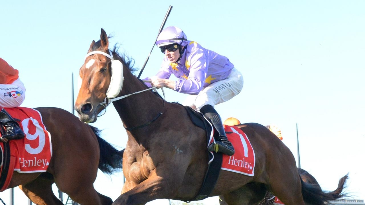 Oscar's Fortune steps up to 1400m test at Caulfield on Saturday
