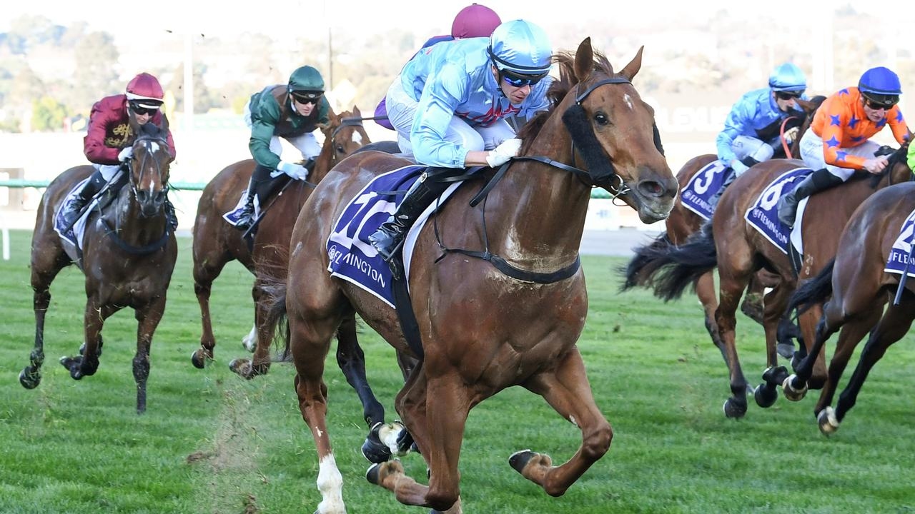 Brad Waters' horses to follow from Flemington on Saturday