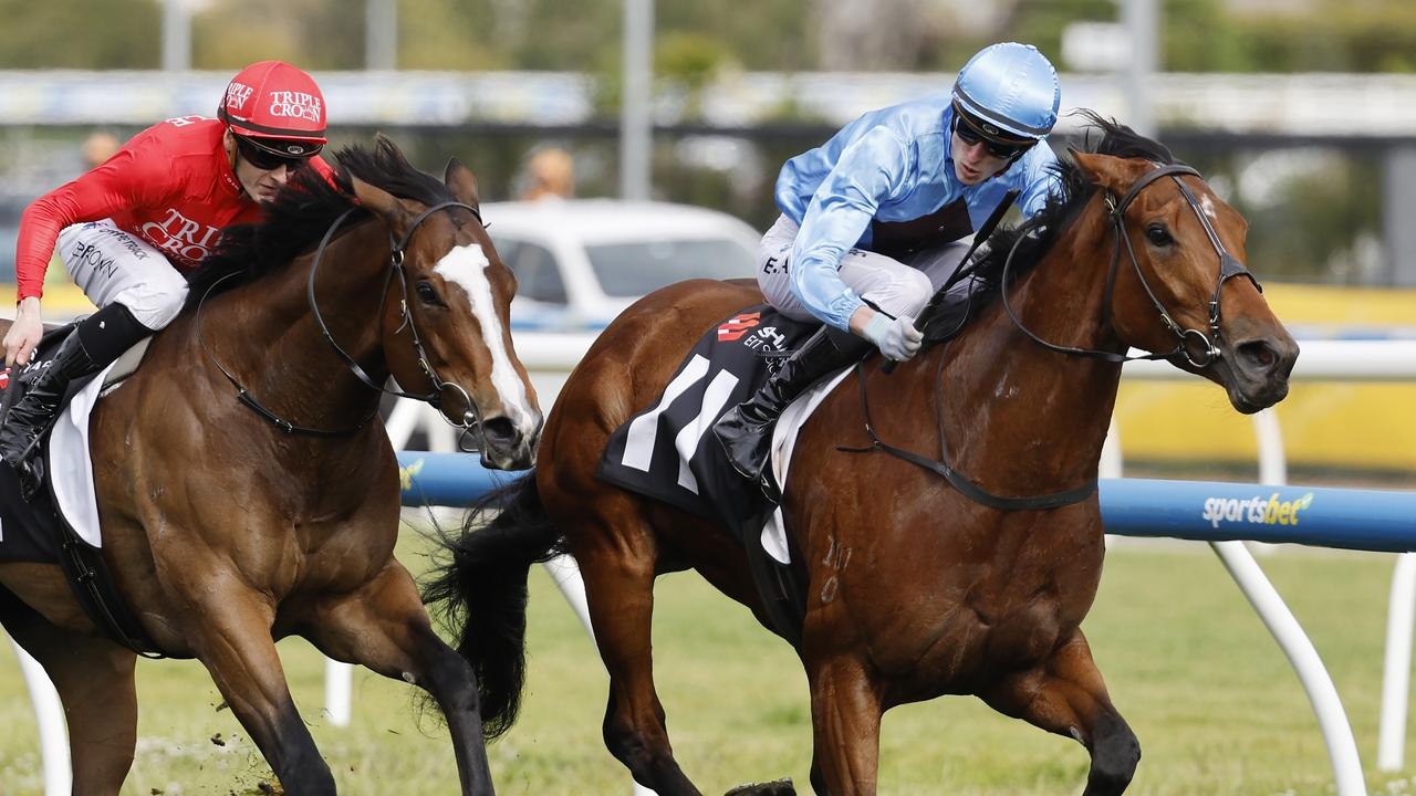 Malua Racing chase consecutive stable The Coast victories with progressive mare Lady In Pink