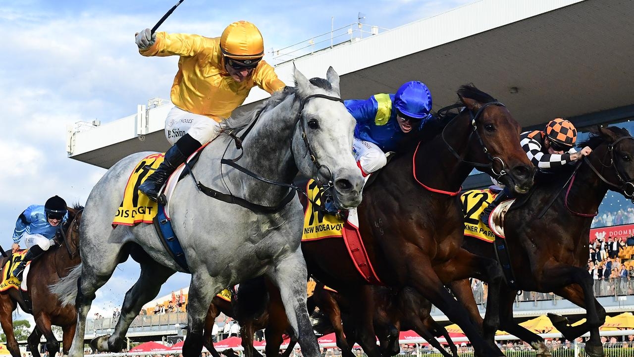 Regan Bayliss bullish New Endeavour can break through in Gosford Gold Cup