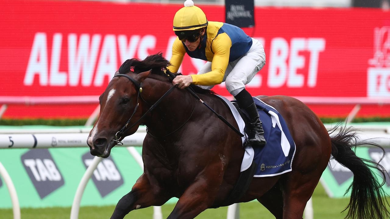 Storm Boy to race at The Curragh in Greenlands Stakes