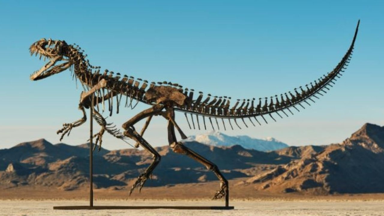 Eye-watering sum rare ceratosaur fossil sold for at auction