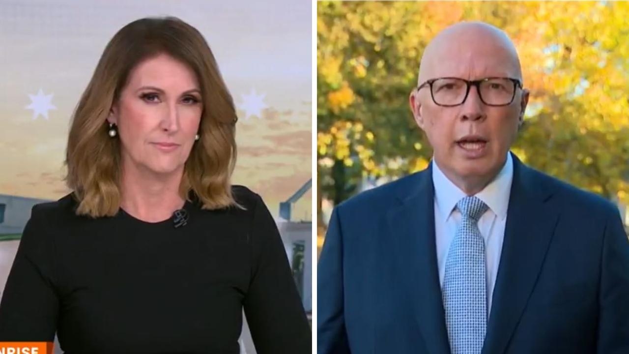 ‘Not a beauty contest': Peter Dutton declares Labor's ‘lies' are hurting him