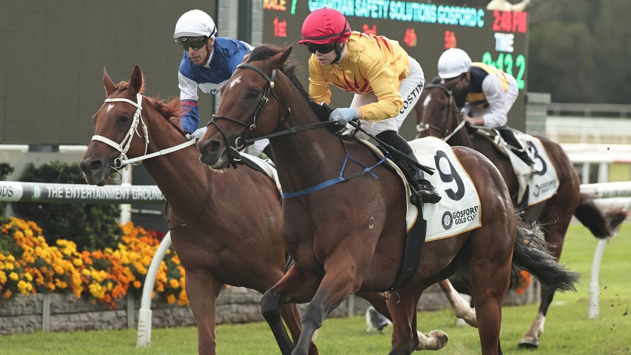 Les Vampires books berth in The Big Dance with Gosford Gold Cup win