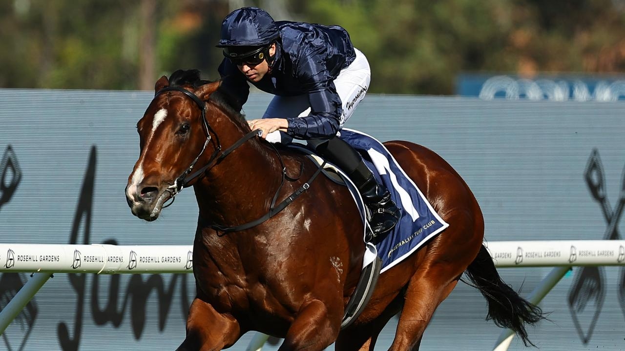 Former Australian star Storm Boy retired to stand at Coolmore Stud