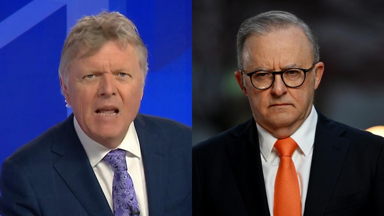 ‘You are a disgusting human, shame on you Albanese': TV host slams PM for ‘slandering' Israel