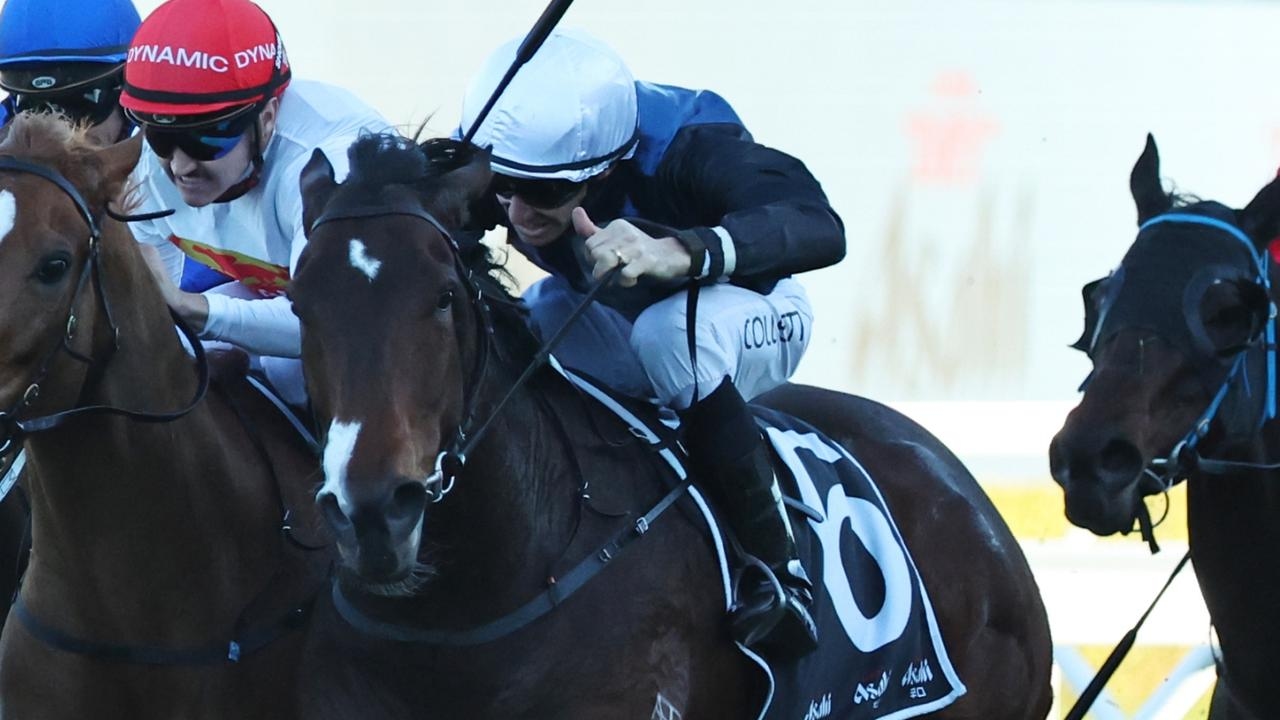 Jason Coyle eyeing stakes races for flying mare Lulumon