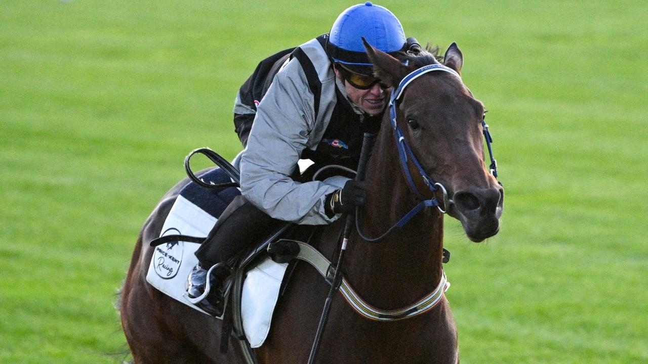 Mick Price and Michael Kent Jr's new stayer squad eyes 2025 Melbourne Cup success