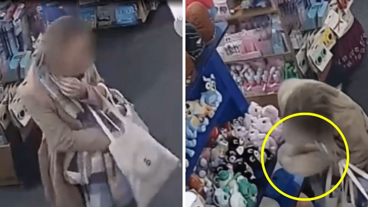 Thief steals hundreds of dollars worth of toys by shoving them down her pants
