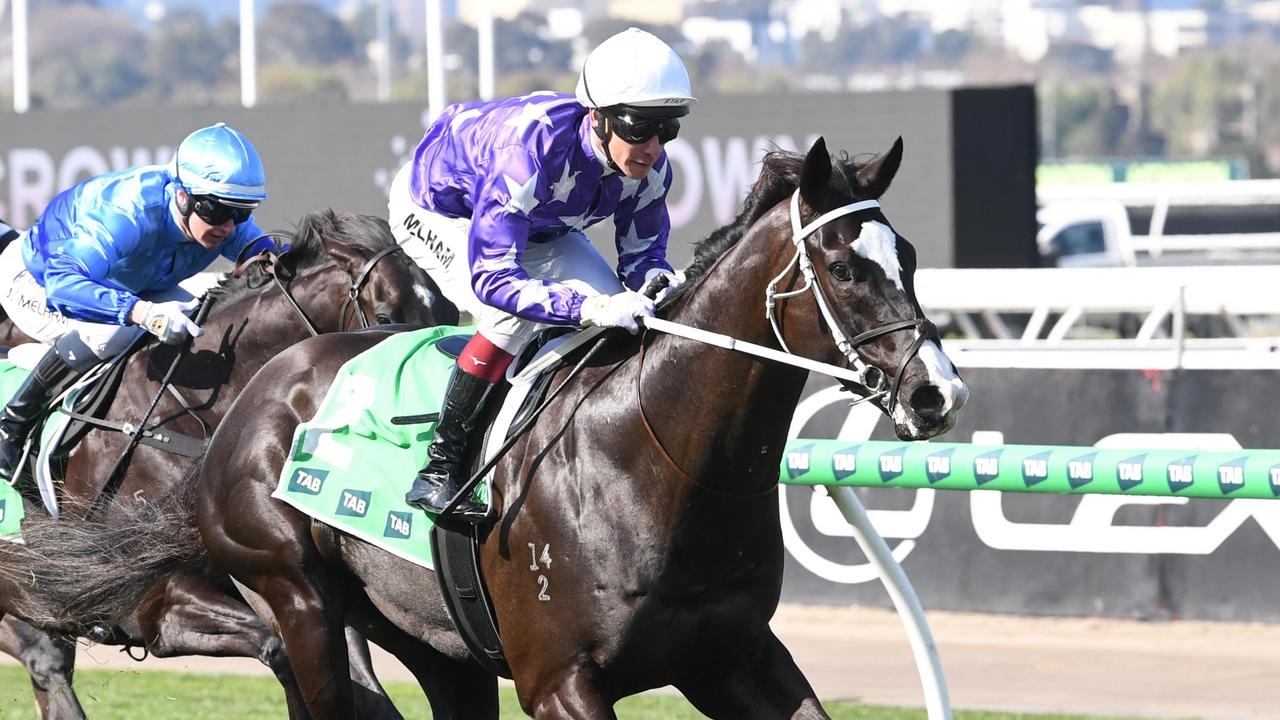 Chris Waller three-year-old Crossbow thrives at Flemington to break maiden