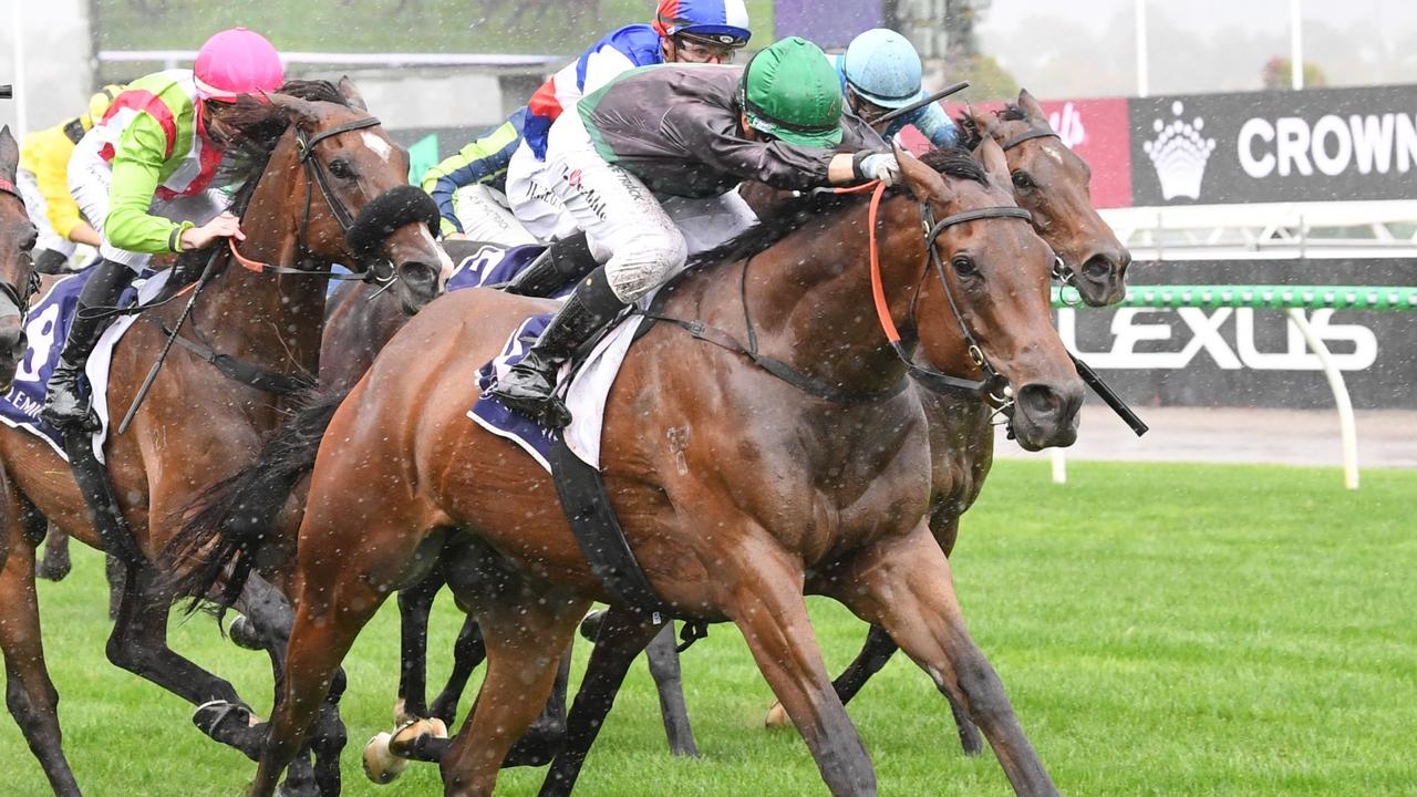 Clayton Douglas praises Tom Prebble ride on $71 outsider Title Fighter in Straight Six at Flemington