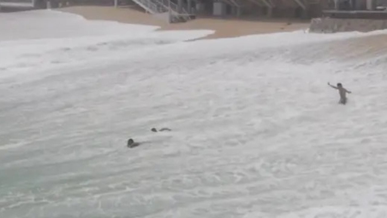 Moment giant wave swallows up swimmers