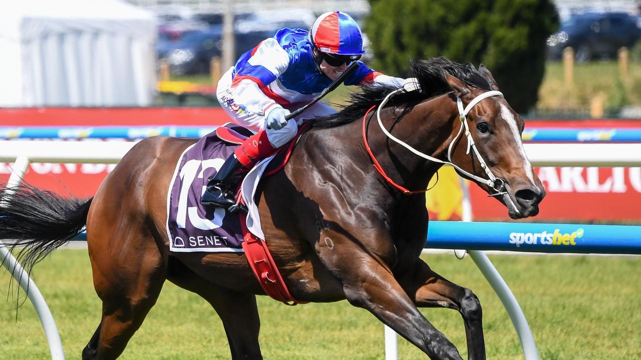 South Australian trainer Richard Jolly tackles Bel Esprit Stakes with gun sprinter Aviatress