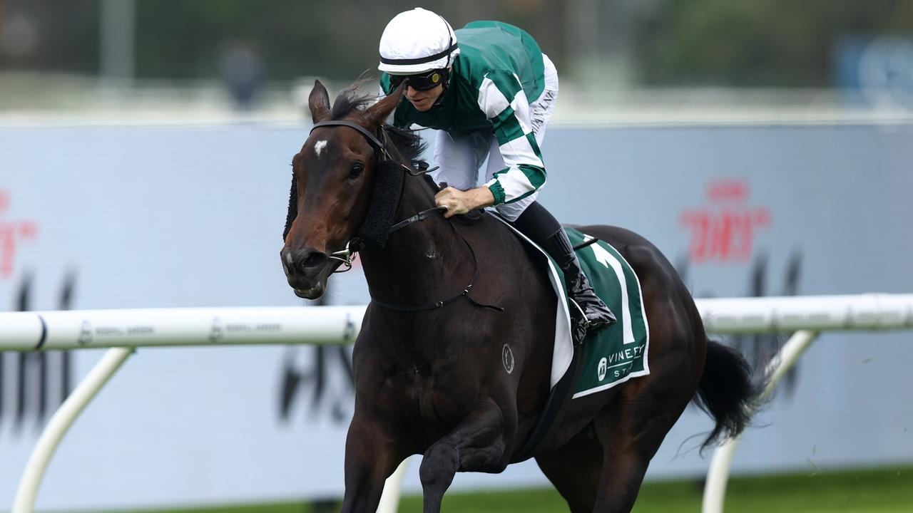 Mornington trainer Matt Laurie plots spring plans for Group 1 stars Treasurethe Moment and Vinrock