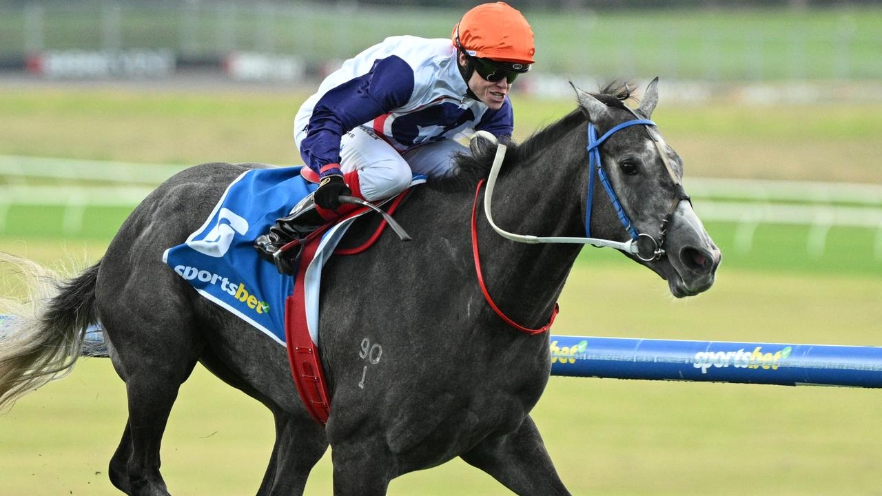 Kavanaghs to test ‘slow learner' Figlio D'Argento in Saturday grade at Caulfield