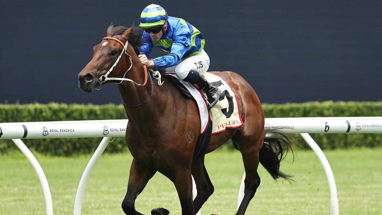 Doomben 10,000 Day fields and barrier draws