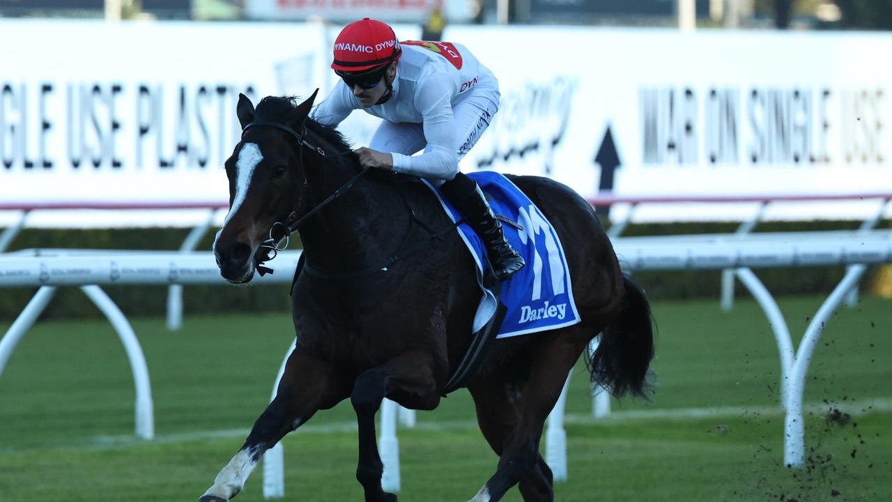 An impressive first-up win by It's A Knockout sets up a tilt at next month's Listed Winter Challenge