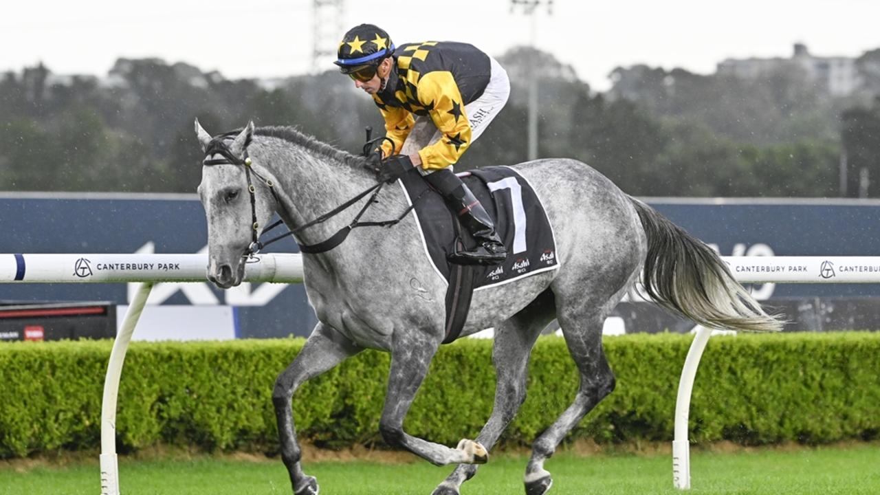 Newcastle preview: Elegant Empress poised to bounce back