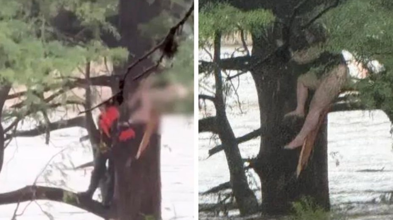 Woman found clinging to tree branch, screaming for help after being swept away by Texas floods