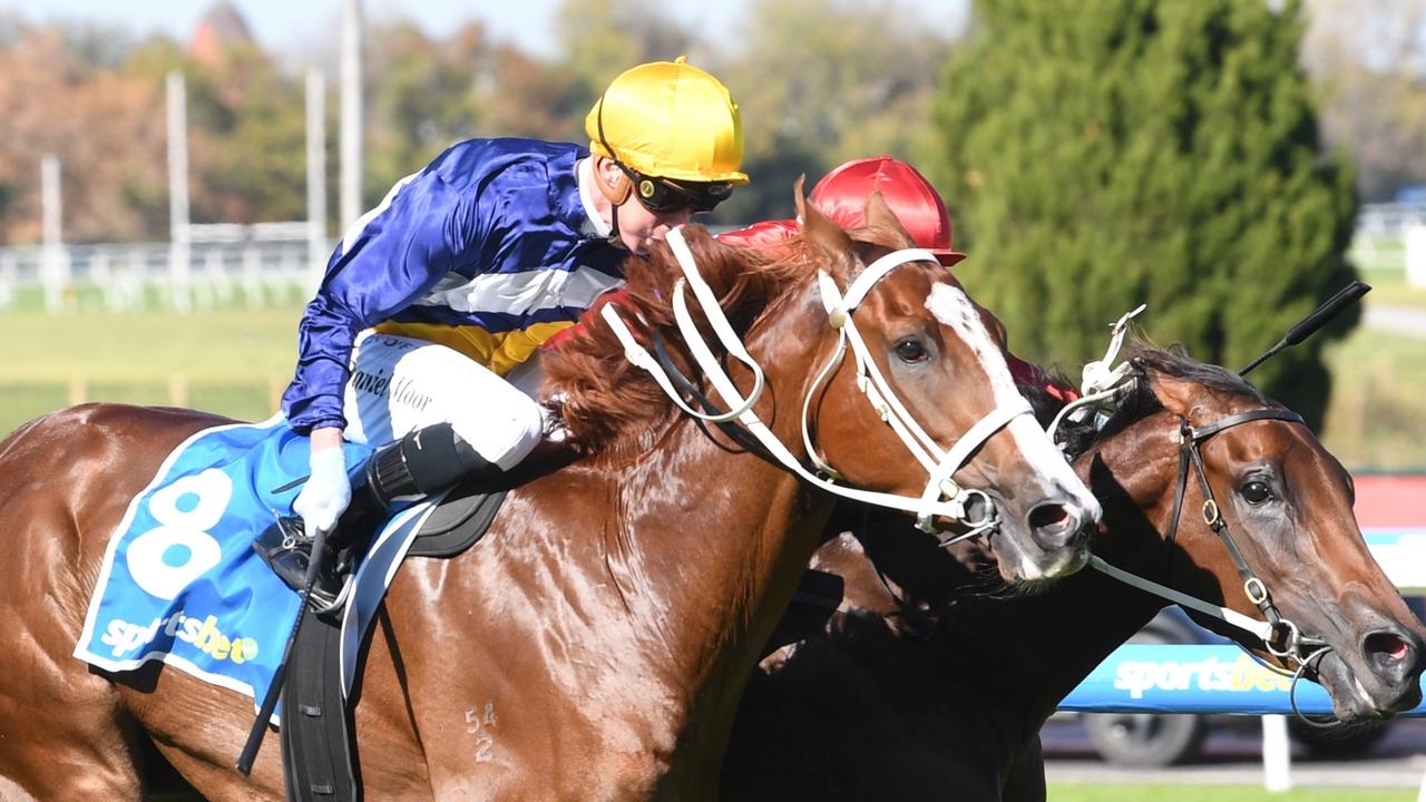 Prince Tycoon to back-up after eight-day break in BRC Sires' Produce Stakes at Eagle Farm