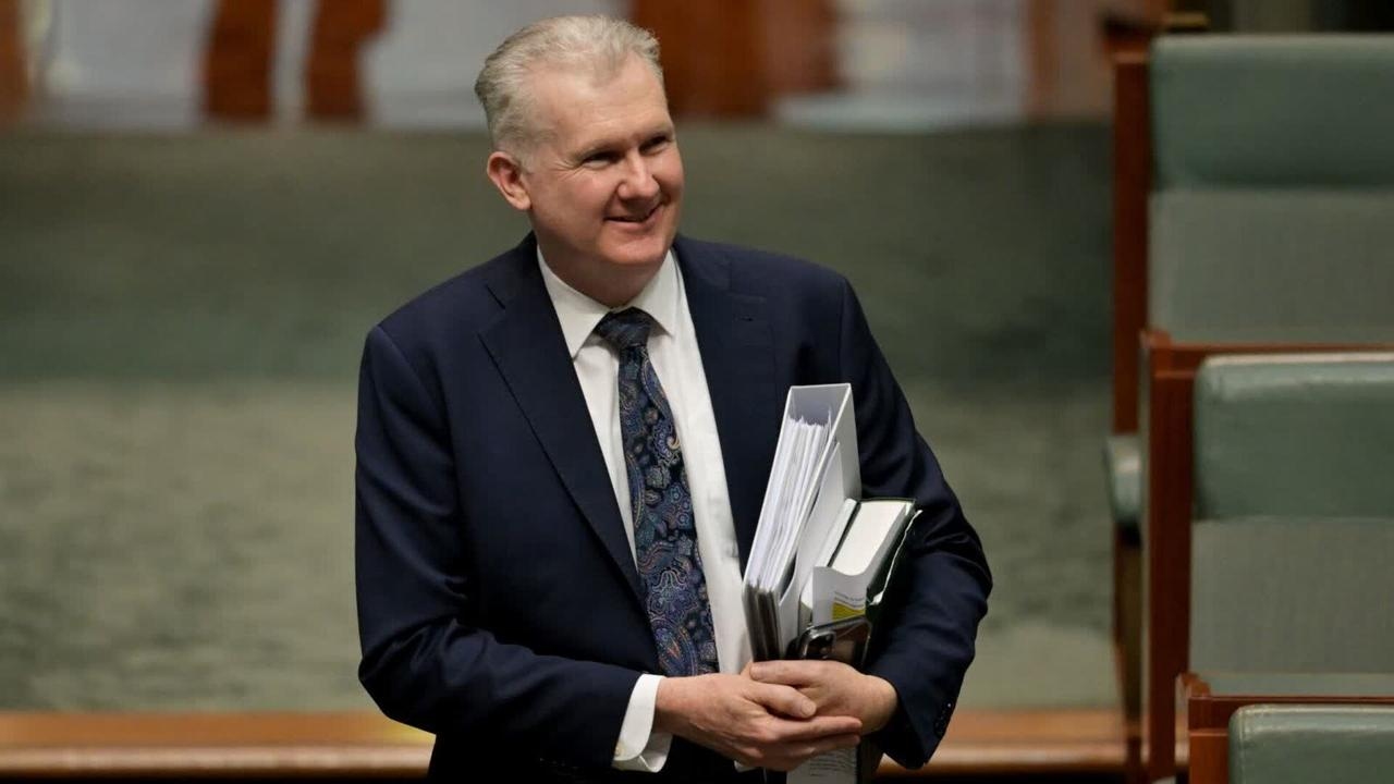 Tony Burke's outrageous take on Gaza slammed