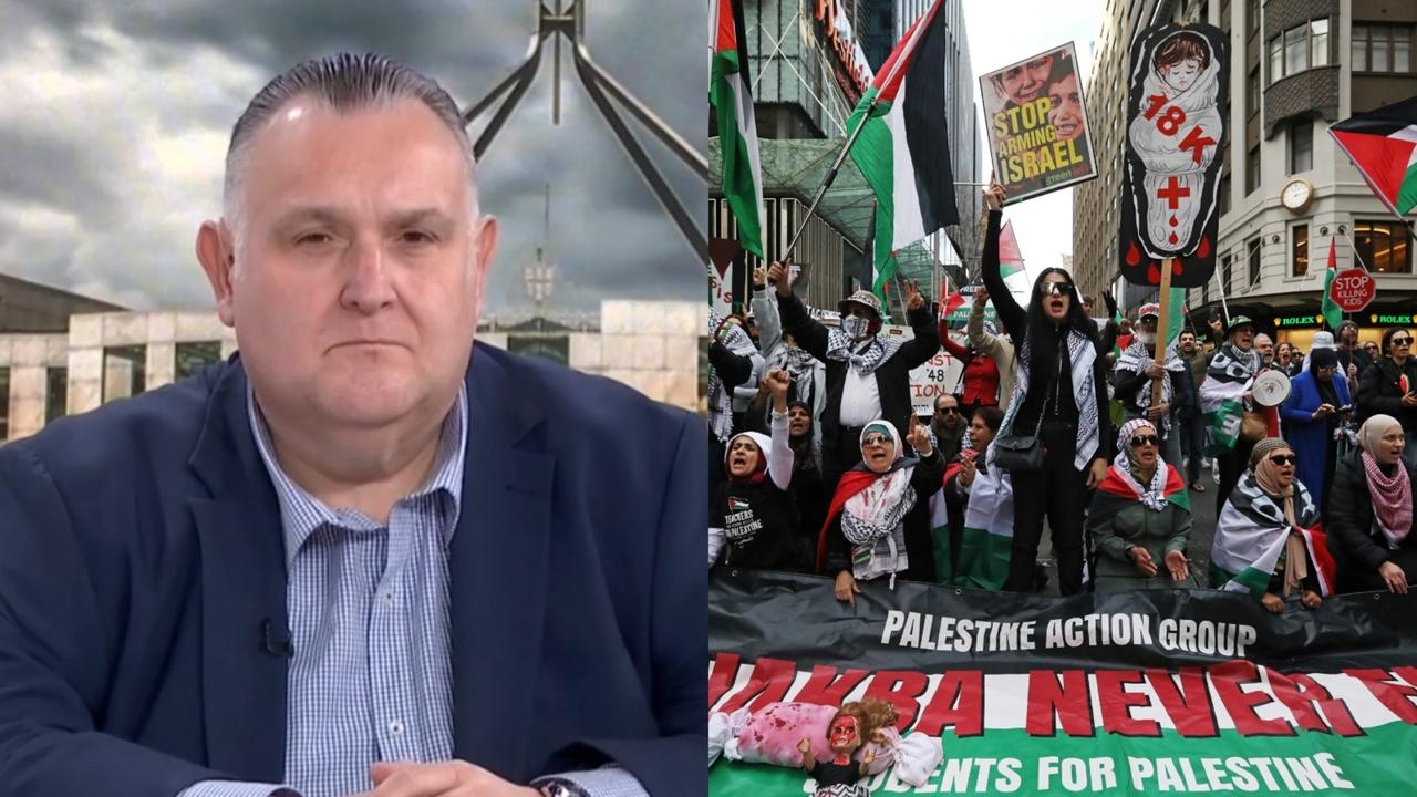 Radio host slams the pro-Palestine ‘clown' protestors who show extreme levels of ‘ignorance'