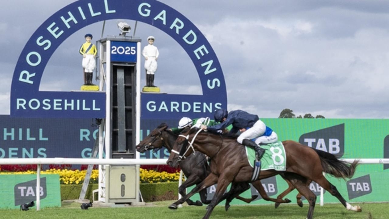 What is Plan B? Rosehill sale decision ‘missed opportunity'