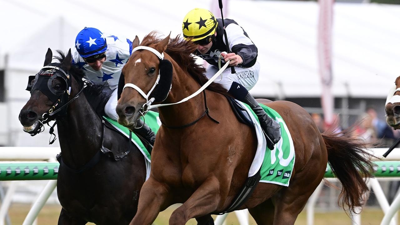 Tough mare Zouperb ready to fire at Doomben despite wasted trip to Sydney