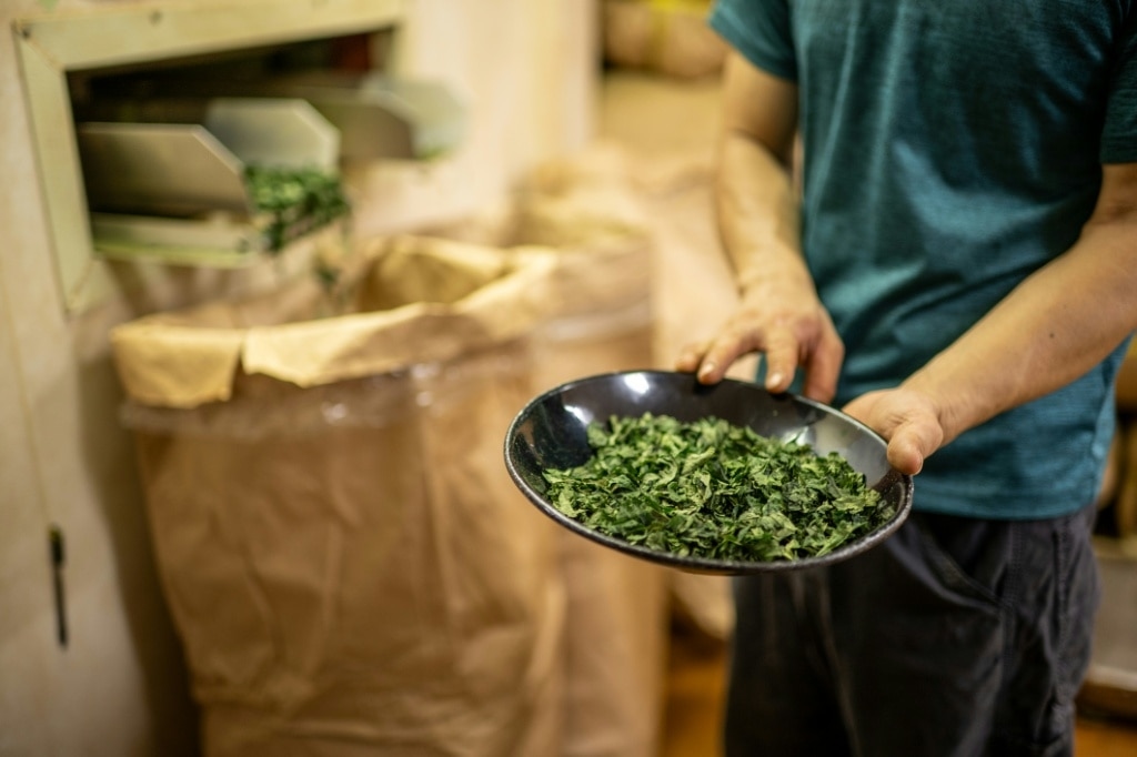 Global matcha 'obsession' drinks Japan tea farms dry