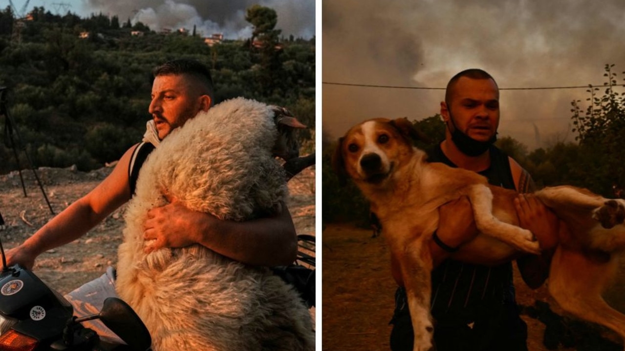 Thousands battle Greece, Spain and Portugal fires as heatwave bakes Europe