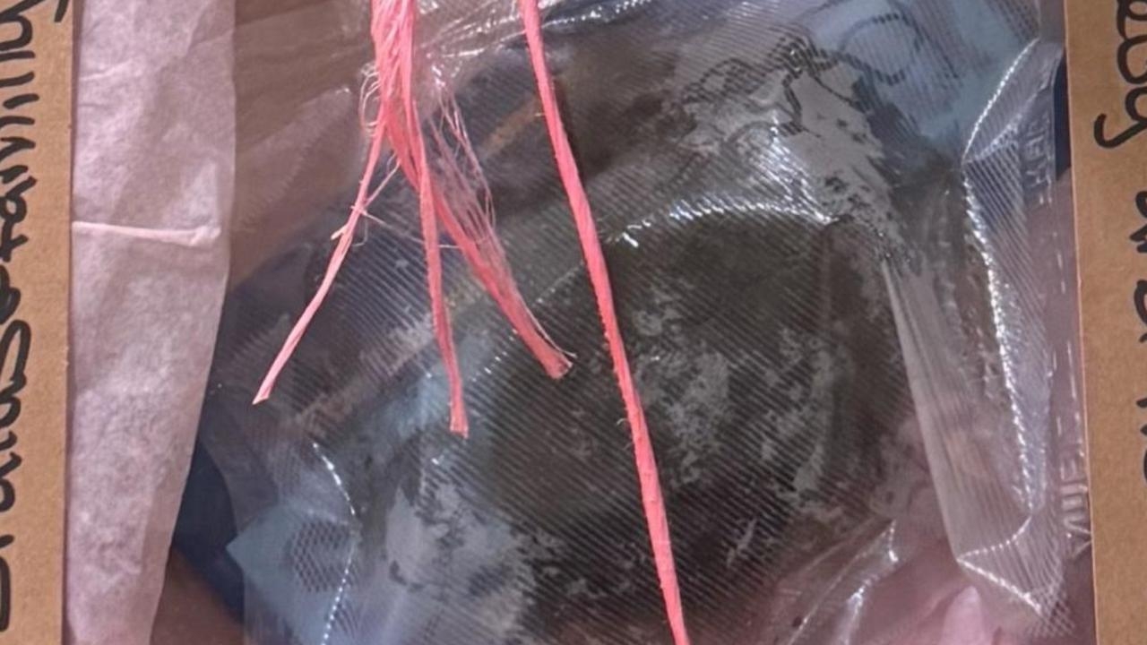 Victorian Premier Jacinta Allan slams ‘disgraceful' cow manure protest stunt