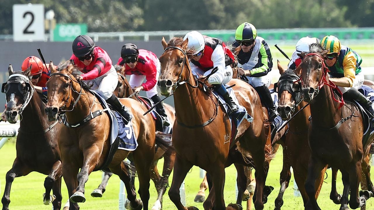 Trainer Gerald Ryan eyes winter reward before Grebeni and Green Shadows target Little Dance in spring