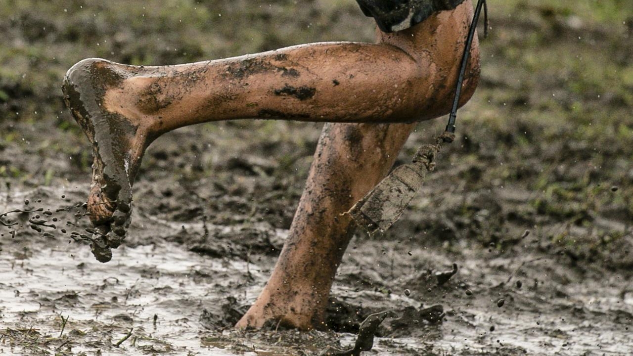Dozens of people have died from a melioidosis outbreak in northern Queensland