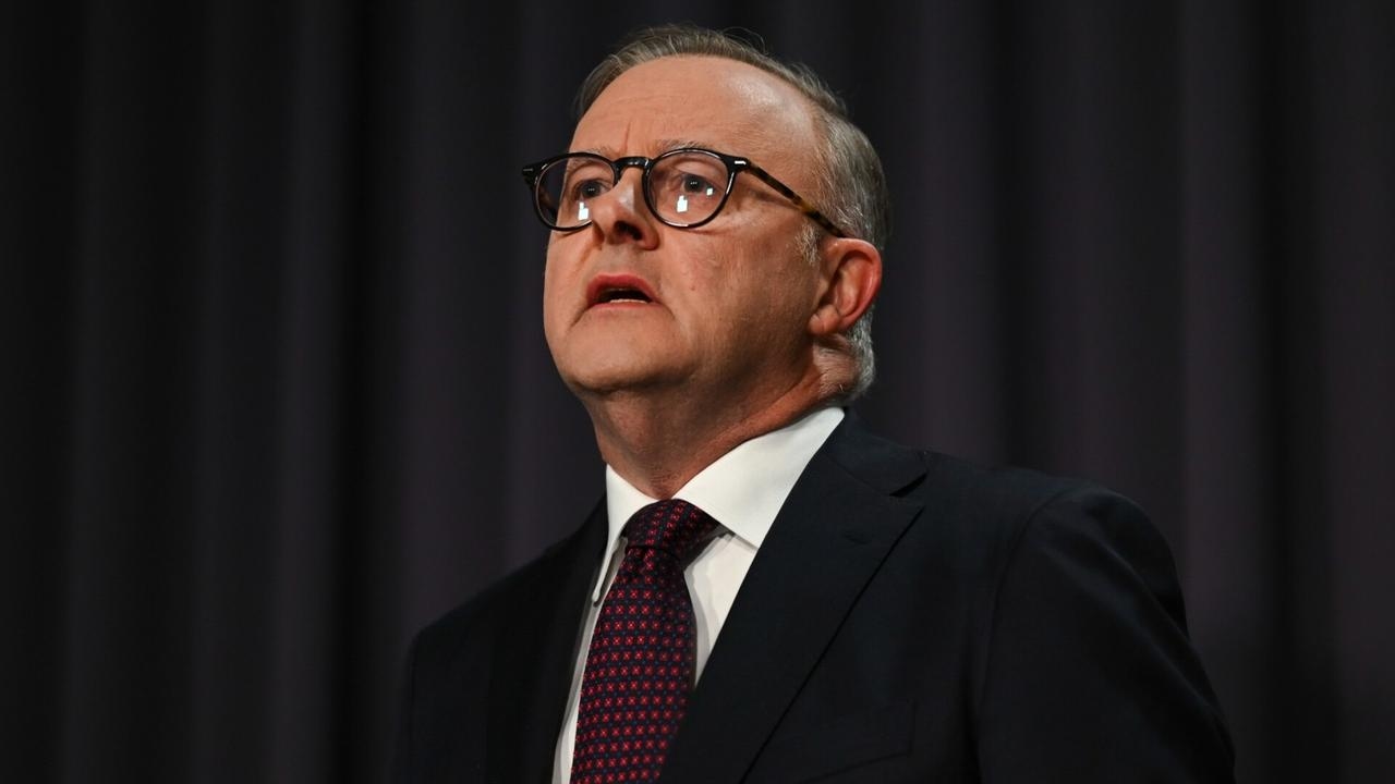 Albanese government's policies will lead to ‘communism'