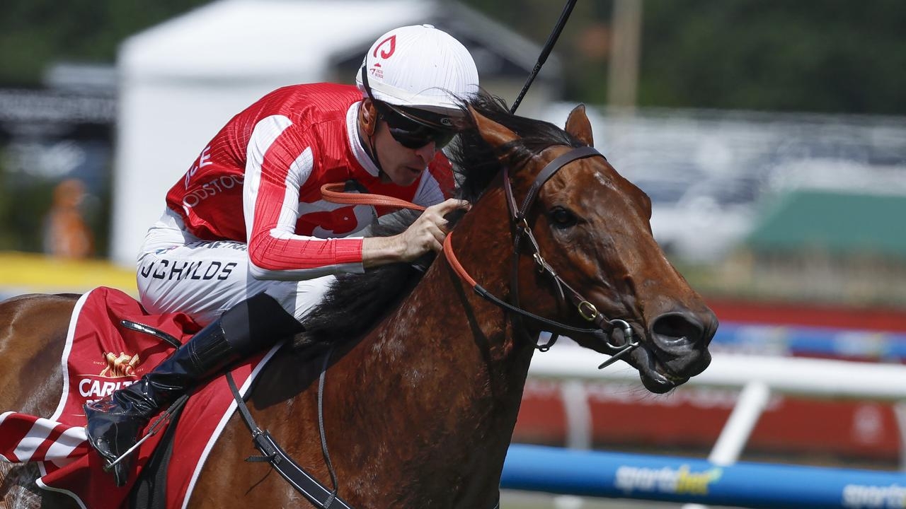 Comeback mare Niance primed to strike in Bel Esprit Stakes at Caulfield