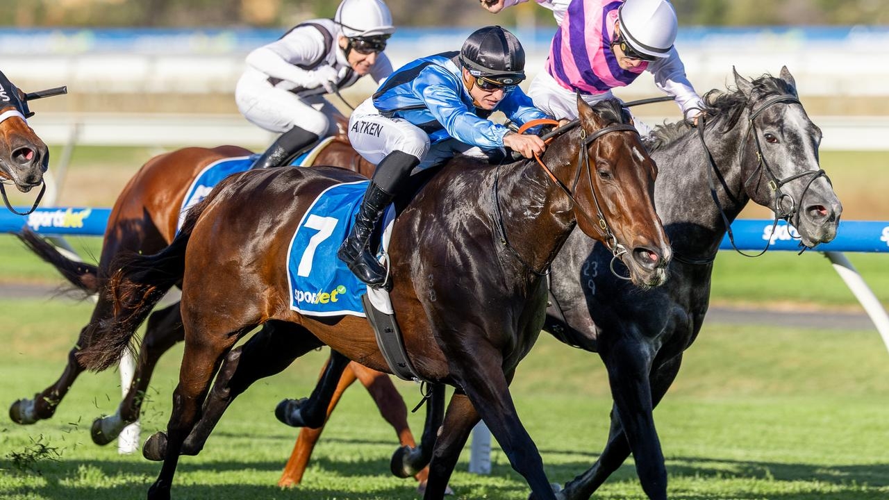 Asfoora completes crucial gallop at Flemington as Henry Dwyer-trained mare prepares to defend Royal Ascot crown