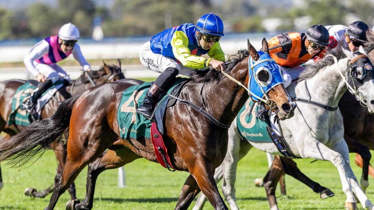 Speedy filly Out Of Square scores fourth win in five starts at Murray Bridge