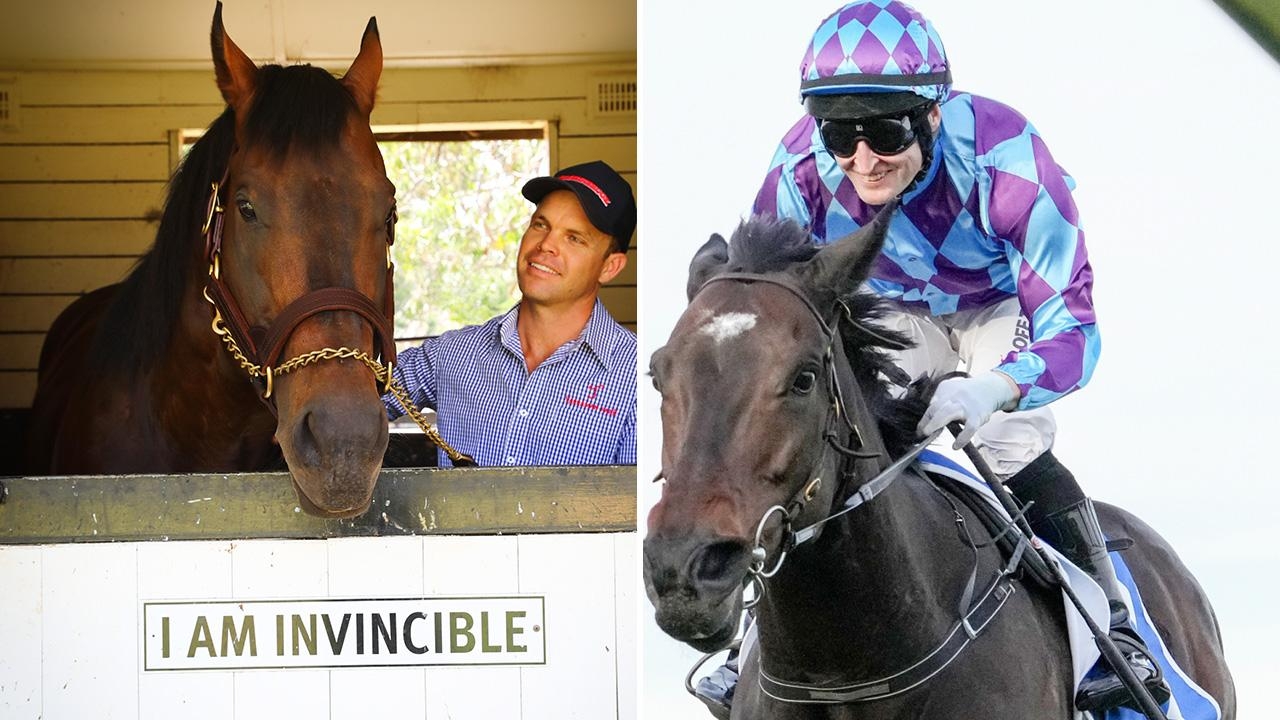 Reigning horse of the year Pride Of Jenni to visit Yarraman Park stallion I Am Invincible this breeding season