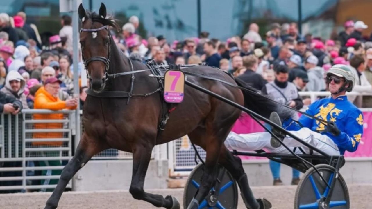 Brad Hewitt-trained star The Locomotive on track for big run in Sweden harness racing feature