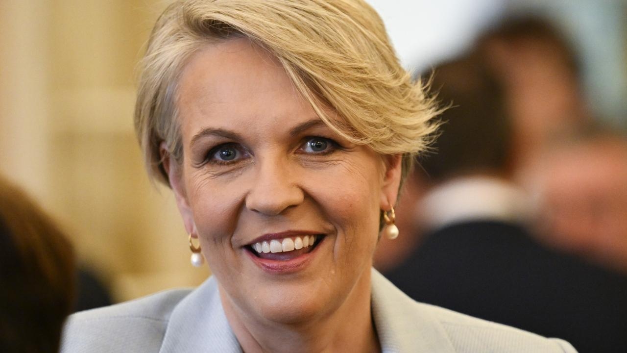 Tanya Plibersek says federal government supports work-from-home policies