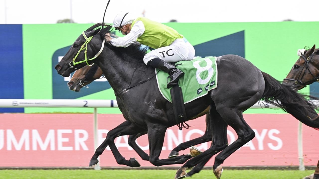 ‘He's got some ability': Trainer Colvin's 2025 Kosciuszko hope Cambar ready to rip at Royal Randwick on Saturday